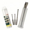 Набор оснастки Bosch Promoline SDS-plus 2607019455